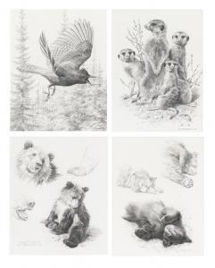BRENDERS Carl 1937,Flying Steller's Jay; Meerkats; Grizzly bear study,Bonhams GB 2023-09-28