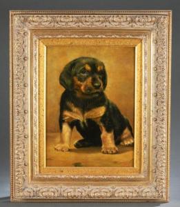 BRIGGS R 1900-1900,Untitled portrait of a Rottweiler puppy,Quinn & Farmer US 2021-01-30