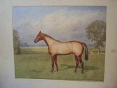 BRIGHT Alfred 1880-1929,'Grakle' - a racehorse in a paddock,Bonhams GB 2011-10-18