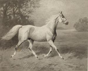 BRIGHT Alfred 1880-1929,"Pepper and salt", a grey stallion,Bonhams GB 2012-03-14