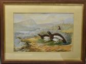 BRIGHT C,Grouse in a Moorland,1898,Bamfords Auctioneers and Valuers GB 2018-08-01