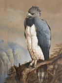 BRIGHT Harry 1846-1895,A Harpy Eagle perched on a crag,1876,Rosebery's GB 2020-03-25
