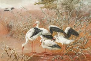 BRIGHT Harry 1846-1895,Storks in a landscape,John Nicholson GB 2020-12-07