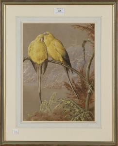 BRIGHT Henry Barnabus,Study of Two Golden Parakeets perched on a Branch,Tooveys Auction 2016-09-07