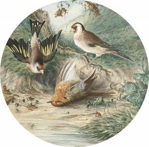 BRIGHT Henry Barnabus 1824-1876,Who killed cock robin,1868,Bonhams GB 2005-07-27