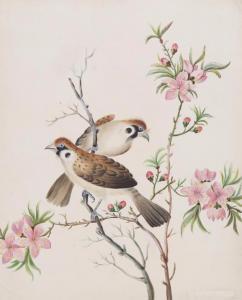 BRIGHT S 1800-1800,Birds on a blossom,Woolley & Wallis GB 2015-12-10