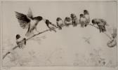 BRIGHTWELL Leonard Robert 1889-1983,Early Birds,Mallams GB 2013-07-17