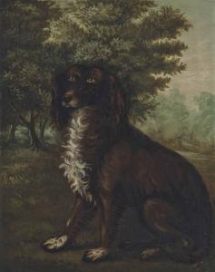 BRITISH SCHOOL,A favourite spaniel,Christie's GB 2013-11-27