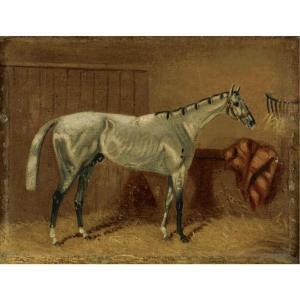 BRITISH SCHOOL,A GREY HORSE IN A STALL,Sotheby's GB 2008-12-05