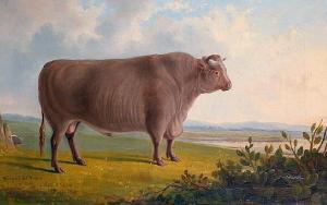 BRITISH SCHOOL,A light brown bull in a landscape,Bonhams GB 2008-09-09