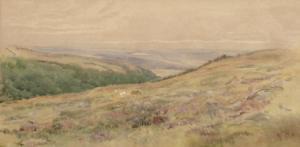 BRITISH SCHOOL,A moorland scene with flowering heather and ponies grazing,Dickins GB 2007-12-07