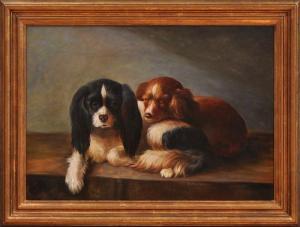 BRITISH SCHOOL,PORTRAITOF TWO KING CHARLES SPANIELS AT REST,Stair Galleries US 2010-06-26