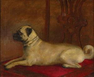 BRITISH SCHOOL,Recumbent Pug,1877,William Doyle US 2007-02-13