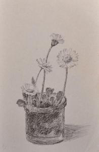 BRITISH SCHOOL,Still Life of Flowers in a Pot,John Nicholson GB 2017-06-28