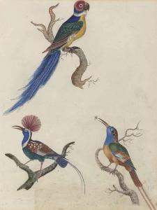 BRITISH SCHOOL,Studies of a parrot and other birds, on branches,Christie's GB 2014-04-10