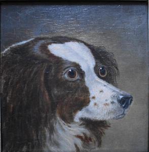 BRITISH SCHOOL,study of a brown and white spaniel,Andrew Smith and Son GB 2018-07-17