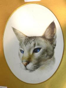 BRITISH SCHOOL,Study of a Siamese cat,Andrew Smith and Son GB 2013-03-26