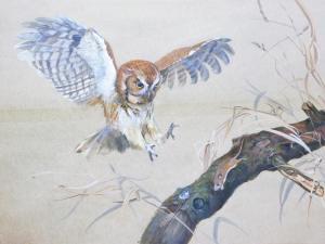 BRITTON Richard 1900,Owl catching mouse on a tree bough,Golding Young & Mawer GB 2019-08-07