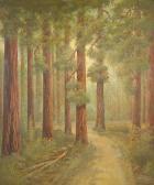BROAD Alphonso Herman 1851-1930,a road in the redwoods,Bonhams GB 2005-04-11