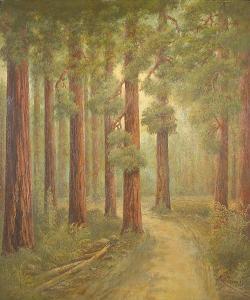 BROAD Alphonso Herman 1851-1930,a road in the redwoods,Bonhams GB 2005-04-11