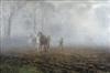BROCK Richard Henry 1871-1943,Heavy Horses Harrowing in the Mist,1895,Cheffins GB 2009-11-25