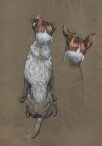 BROCK Richard Henry 1871-1943,Study of a Fox Terrier,Cheffins GB 2008-06-04
