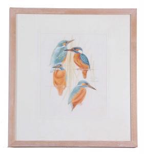 BROCKIE Keith 1955,A study of a Kingfisher various dispositions,20th Century,Keys GB 2023-04-12