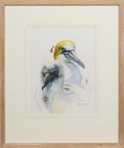 BROCKIE Keith 1955,GANNET AND CHICK, BASS ROCK,1999,McTear's GB 2023-12-14