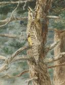 BROCKIE Keith 1955,Long-eared owl,1989,Sworders GB 2020-10-06