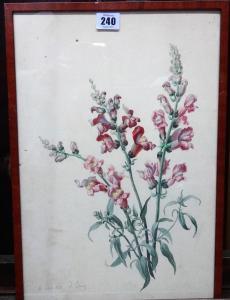 BROCQ Pierre Jules 1811,Study of flowers,1843,Bellmans Fine Art Auctioneers GB 2019-08-03