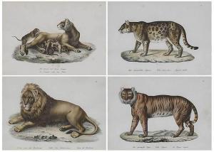 BRODTMANN Joseph 1787-1862,Four Jungle Cats,Brunk Auctions US 2018-09-14