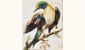 broglio luigi,Etude d'Oiseau,Piasa FR 2001-11-21