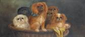 BROOK James W 1910-1930,Puppies in a basket: Cavalier King Charles Spaniels,Bonhams GB 2012-02-15