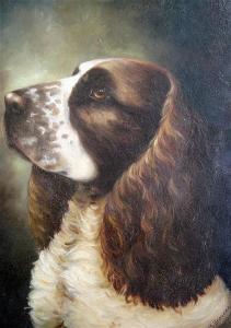 BROOKER M,Portrait of a spaniel,1954,Gorringes GB 2015-09-03