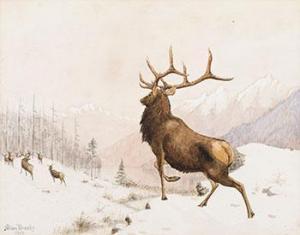 BROOKS Allan 1869-1946,Elk in Snow,1903,Heffel CA 2021-07-29