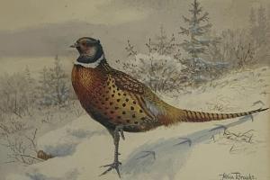 BROOKS Allan 1869-1946,Pheasant in the snow,Duggleby Stephenson (of York) UK 2020-02-14