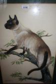 Brooks S.K,study of a Siamese cat,1969,Lawrences of Bletchingley GB 2018-03-08