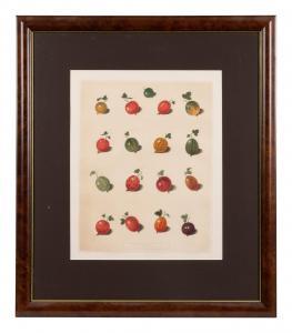 BROOKSHAW George 1751-1823,Four Hand Colored Fruit Engravings,Hindman US 2022-08-26