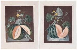 BROOKSHAW George 1751-1823,Melons,Brunk Auctions US 2022-07-14