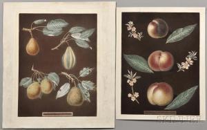 BROOKSHAW George 1751-1823,Two Botanical Prints, Pears and Peaches,1806,Skinner US 2016-10-30