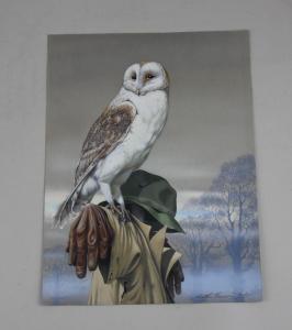 BROOMFIELD Keith,barn owl perched on a scarecrow,Henry Adams GB 2022-02-17