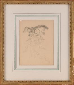 BROWN Bolton Coit 1865-1936,Tree study,Eldred's US 2022-11-04