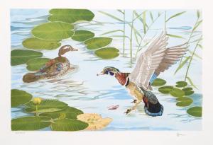 BROWN Daniel Price Ericson 1939,Two Ducks,Ro Gallery US 2023-11-17