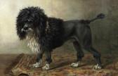 BROWN E., Miss 1797-1812,Aramis, a Water Spaniel,1886,Bonhams GB 2016-10-19