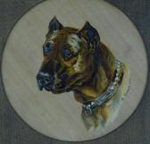 Brown E,portrait of a dog,1908,Burstow and Hewett GB 2018-05-24