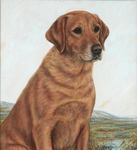BROWN K.C,) PORTRAITS OF THE LABRADORS "JUDY" AND "GRAND LAD,1959,Mellors & Kirk 2019-08-14