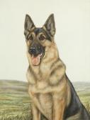 BROWN K.C 1937-1962,Juno, a portrait of a German Shepherd,Bonhams GB 2014-02-12
