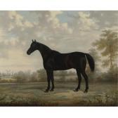 BROWN OF COVENTRY Edward 1823-1877,A BAY HORSE IN A LANDSCAPE,1855,Sotheby's GB 2007-11-29