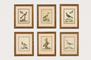 BROWN Peter 1758-1799,bird studies,Sworders GB 2022-09-13