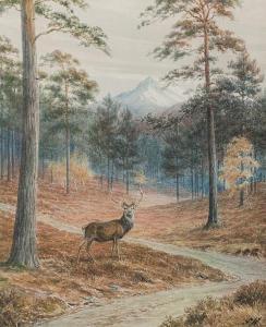 BROWN Vincent 1901-2001,Red deer stag in a wood,1924,Bonhams GB 2011-06-09
